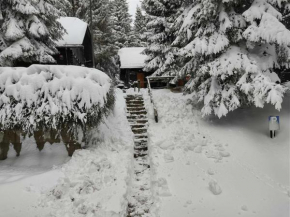 Brunarica 6A - Ski Resort Trije Kralji - Zimske počitnice za družine